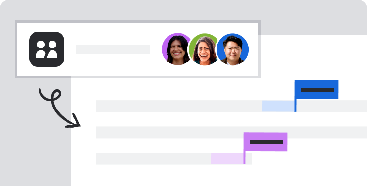 Collaborate with teams